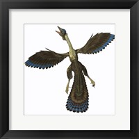 Framed Archaeopteryx, known as one of the earliest prehistoric birds