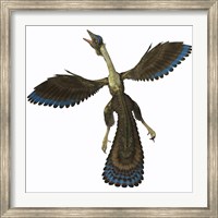 Framed Archaeopteryx, known as one of the earliest prehistoric birds