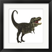 Framed Tyrannosaurus Rex, a large predatory beast of the Cretaceous period