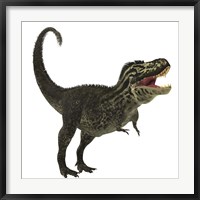 Framed Tyrannosaurus Rex, a large predatory beast of the Cretaceous period