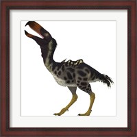 Framed Kelenken is an extinct genus of giant flightless predatory birds