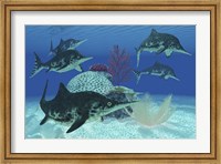 Framed group of large Ichthyosaurus marine reptiles swimming in prehistoric waters