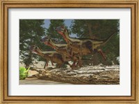 Framed group of herbivorous Hypsilophodon dinosaurs