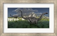 Framed Apatosaurus dinosaurs roam the wilderness of prehistoric times