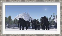 Framed herd of Woolly Mammoths migrate to a warmer climate in the Pleistocene Age