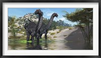 Framed Two Apatosaurus dinosaur wade through a lush pond