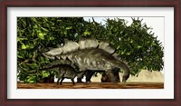 Framed Stegosaurus baby looks to its mother for guidance