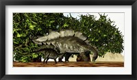 Framed Stegosaurus baby looks to its mother for guidance
