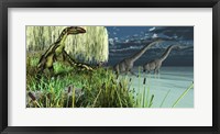 Framed Dilong dinosaurs watch two Brachiosaurus wade across a lake
