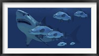 Framed school of fish encounter a monstrous Megalodon shark