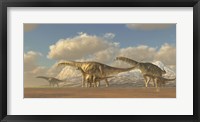 Framed herd of Argentinosaurus dinosaurs