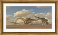Framed herd of Argentinosaurus dinosaurs