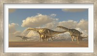 Framed herd of Argentinosaurus dinosaurs