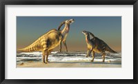 Framed Two Parasaurolophus dinosaurs bellow at each other