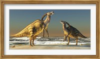 Framed Two Parasaurolophus dinosaurs bellow at each other