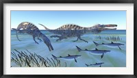 Framed Two Suchomimus dinosaurs hunting small sharks