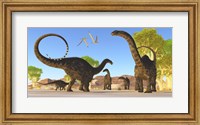 Framed Herd of Apatosaurus dinosaurs wander through a prehistoric forest
