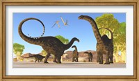 Framed Herd of Apatosaurus dinosaurs wander through a prehistoric forest