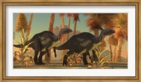 Framed Camptosaurus dinosaurs wander through a prehistoric jungle