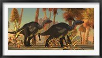 Framed Camptosaurus dinosaurs wander through a prehistoric jungle