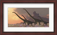 Framed family of Mamenchisaurus dinosaurs