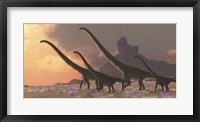 Framed family of Mamenchisaurus dinosaurs