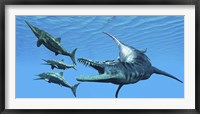 Framed Liopleurodon reptile hunting Ichthyosaurus dinosaurs in Jurassic seas