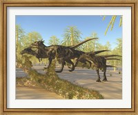 Framed herd of Dracorex dinosaurs walk through a carboniferous forest