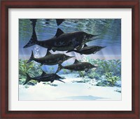 Framed group of Ichthyosaurs swimming in prehistoric waters
