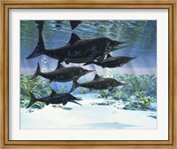 Framed group of Ichthyosaurs swimming in prehistoric waters