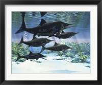 Framed group of Ichthyosaurs swimming in prehistoric waters