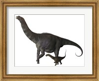 Framed Argentinosaurus and juvenile