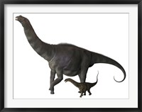 Framed Argentinosaurus and juvenile