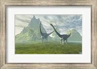 Framed Diplodocus dinosaurs walk together in the afternoon in the prehistoric age