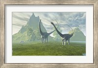 Framed Diplodocus dinosaurs walk together in the afternoon in the prehistoric age