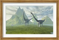 Framed Diplodocus dinosaurs walk together in the afternoon in the prehistoric age