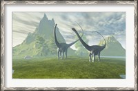 Framed Diplodocus dinosaurs walk together in the afternoon in the prehistoric age