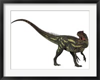 Framed Allosaurus, a prehistoric era dinosaur