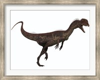 Framed Dilophosaurus, a predatory dinosaur from the Jurassic period
