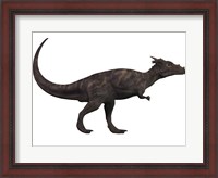 Framed Dracorex, a herbivorous dinosaur from the Cretaceous period