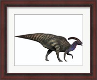 Framed Parasaurolophus, a herbivorous dinosaur from the Cretaceous period