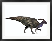 Framed Parasaurolophus, a herbivorous dinosaur from the Cretaceous period