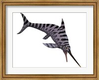Framed Eurhinosaurus, an extinct genus of ichthyosaur