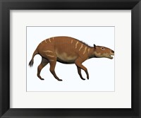 Framed Eurohippus, an extinct ancestor of the modern horse