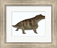 Framed Keratocephalus, a semi-aquatic dinosaur from the Permian Age