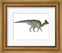 Framed Olorotitan, a duckbilled dinosaur from the Cretaceous Period