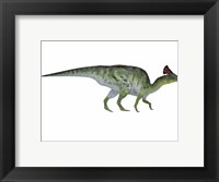 Framed Olorotitan, a duckbilled dinosaur from the Cretaceous Period