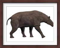 Framed Paraceratherium, an extinct rhinoceros-like mammal