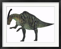 Framed Parasaurolophus