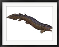 Framed Rhizodus, an extinct predatory lobe-finned fish